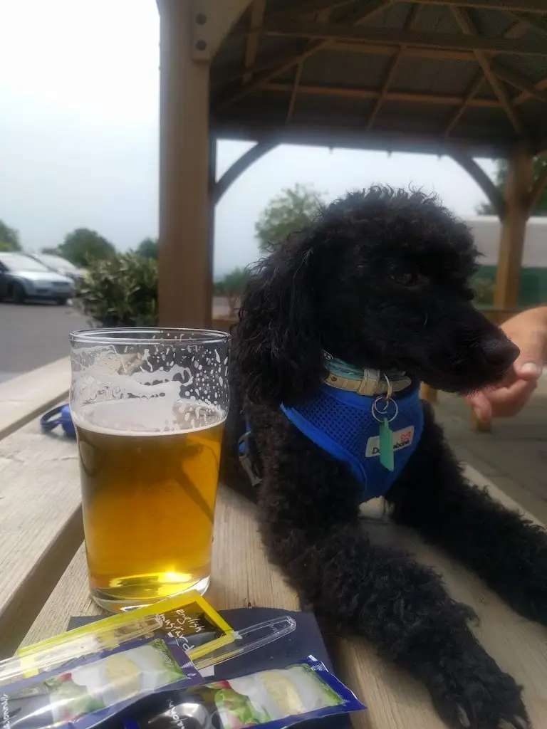 Menu_The Three Horseshoes_Alveley_imagen_5