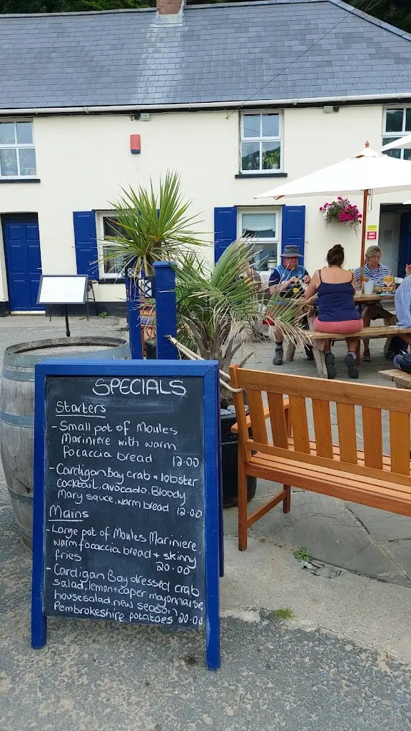 Michelle Power_The Ship / Y Llong_Llandysul_review