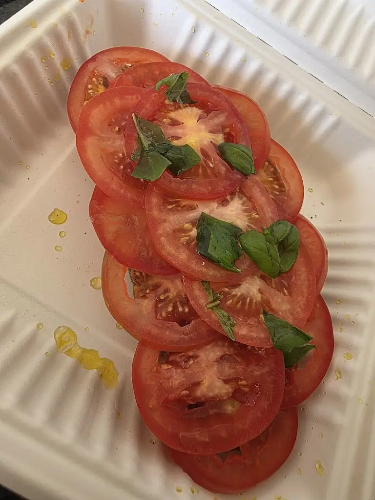 Tiffany Jones_Plus39_Menai Bridge_review