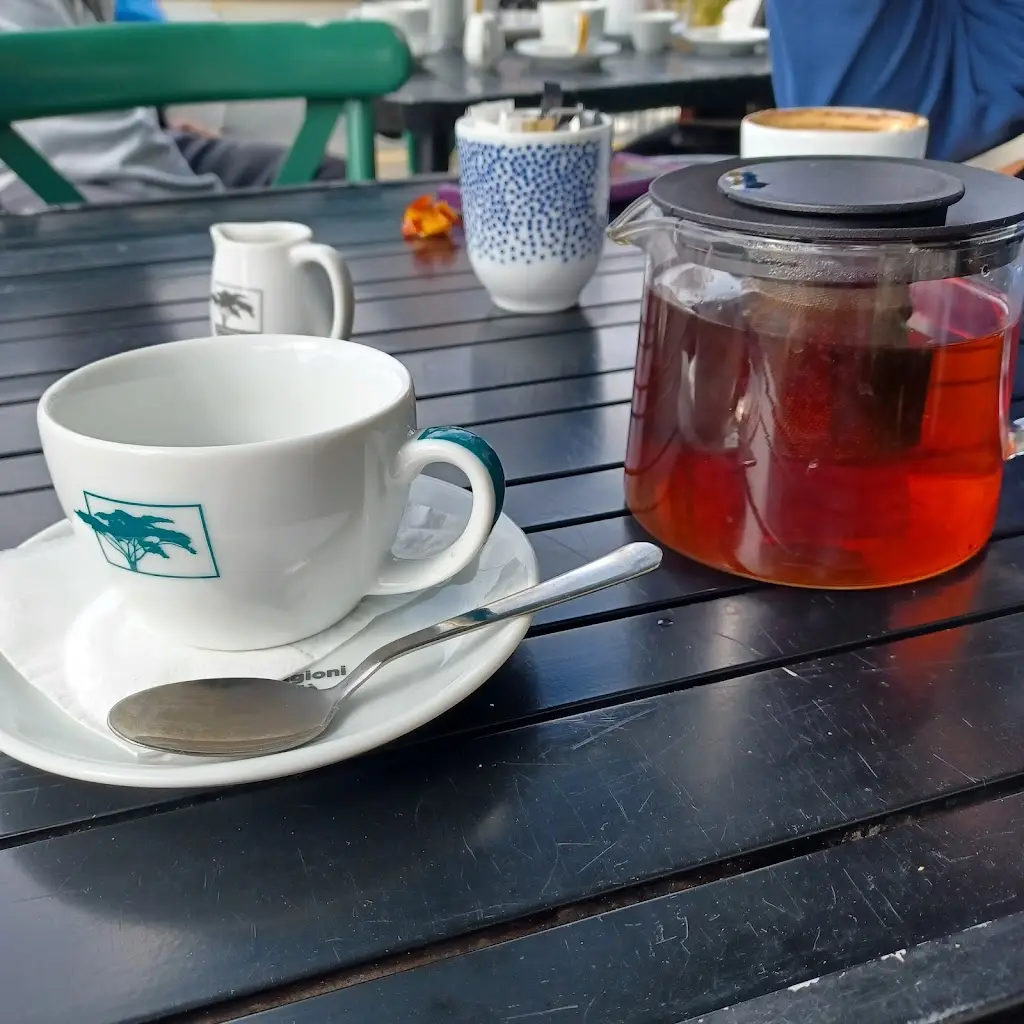 Diane PW_Plus39_Menai Bridge_review