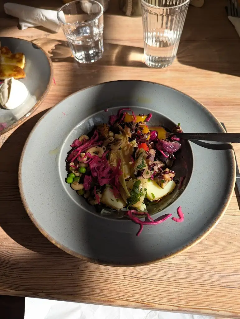 Rachael Rosewell_Tŷ Medi_Machynlleth_review