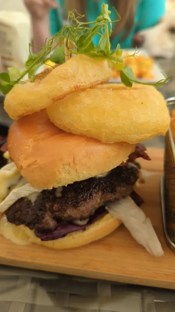 Nat Jenkins _The Wild Fowler_Machynlleth_review