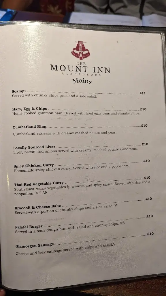 Menu_The Mount Inn_Llanidloes_image_1