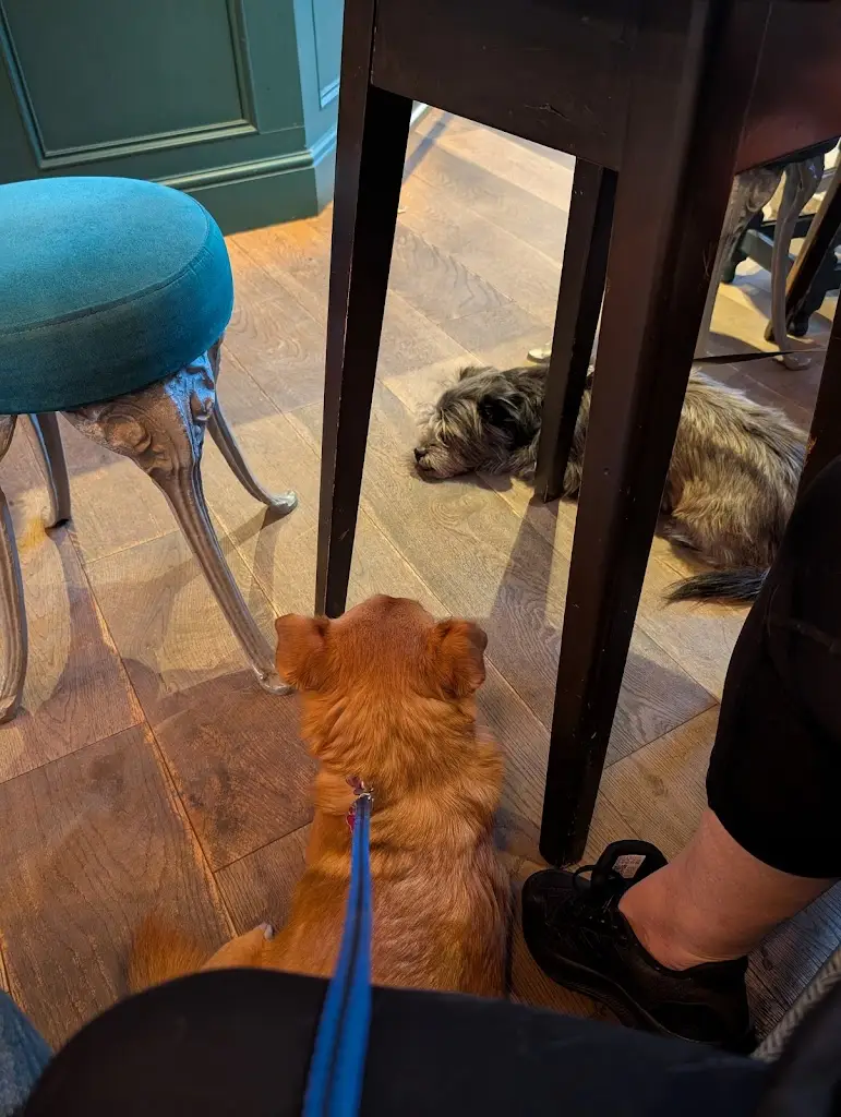 Maria Simpson_Tafarn Yr Heliwr_Nefyn_review