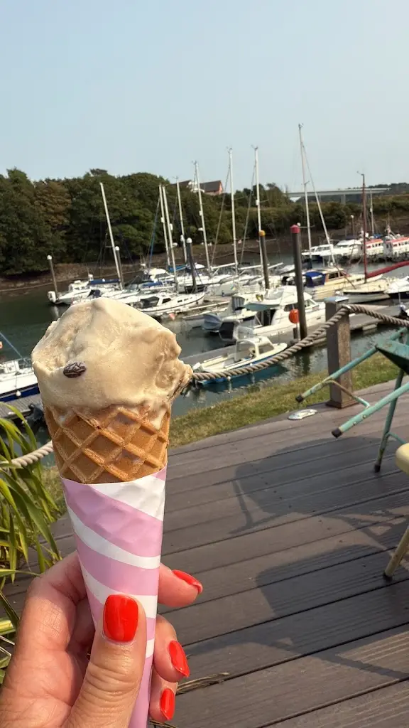 Paula Gittoes_The Bar_Neyland_review