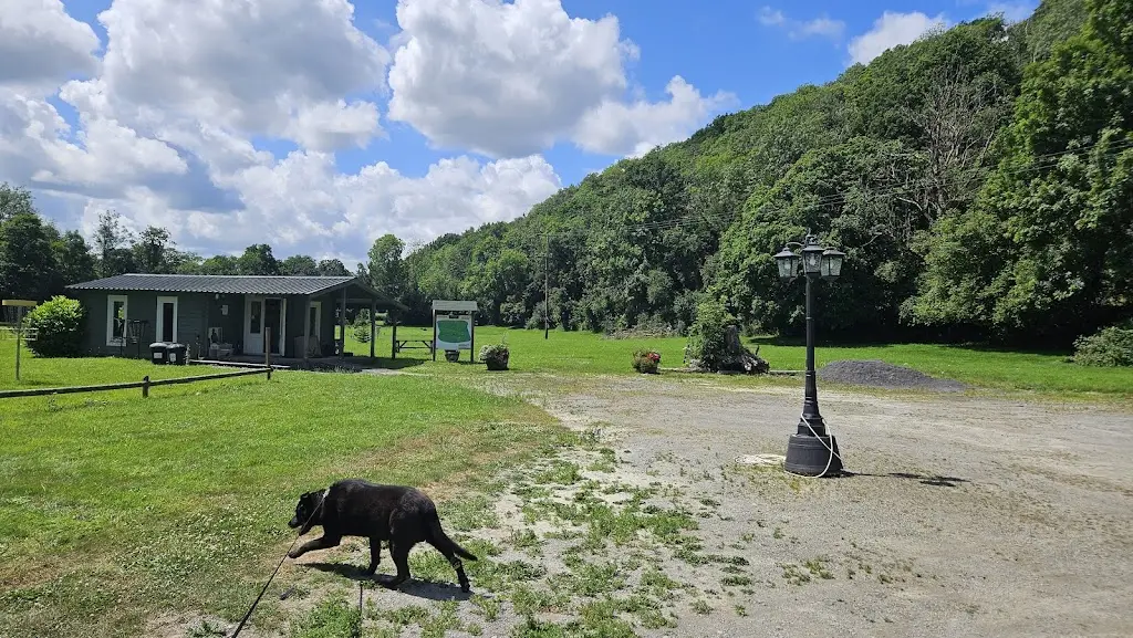 Bob Bobby (Bob)_The Mill Cafe and Bar_Newcastle Emlyn_review