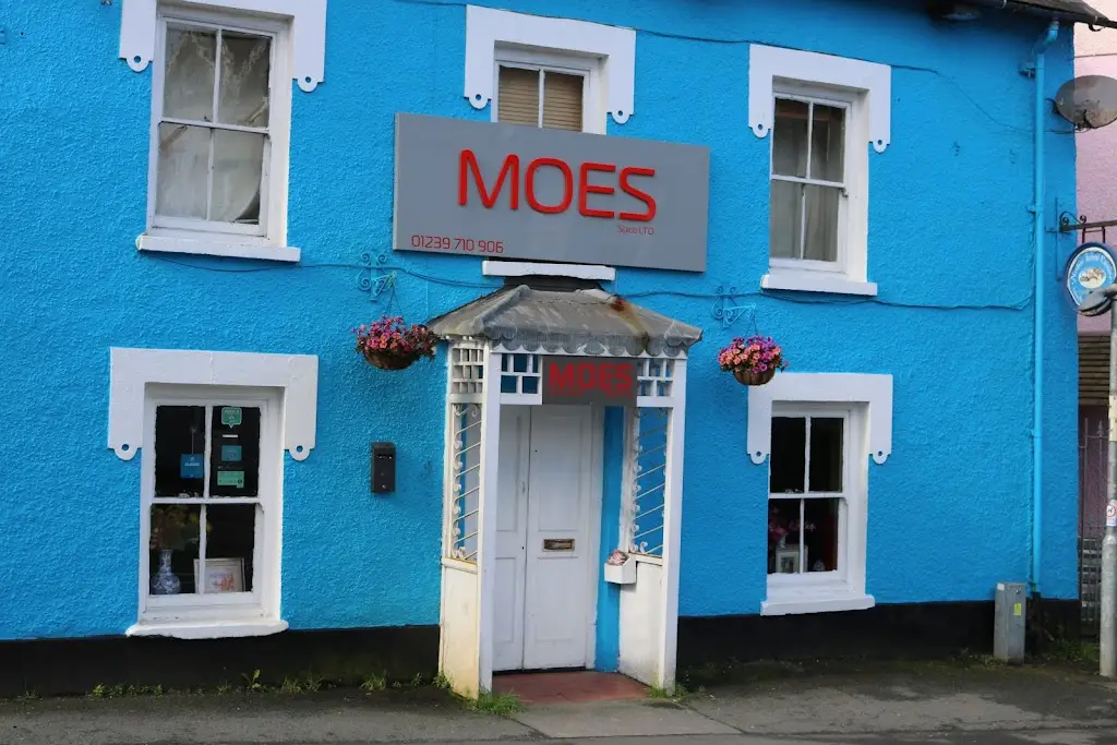 MOES SPICE LTD restaurant in Newcastle Emlyn
