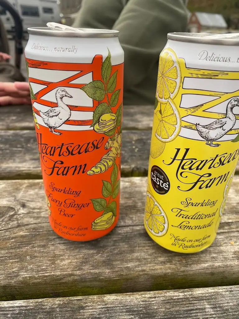 David Hughes_The Shed Fish & Chip Bistro_Pembrokeshire_review