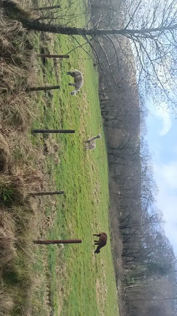 The Wyndham_Ogmore Vale_slider_image_2