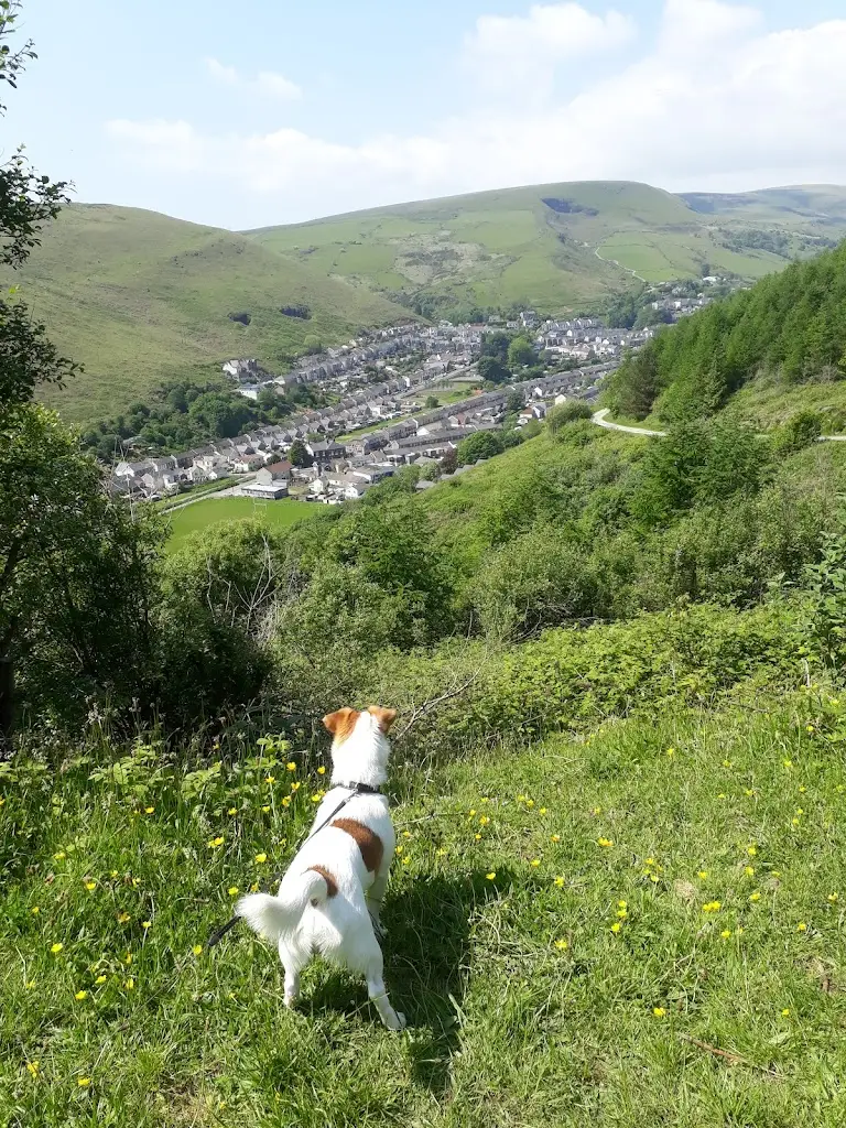 The Corbett Arms_Ogmore Vale_slider_image_2