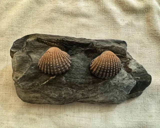 Lynne Kennedy Photography_Annwn_Narberth_review