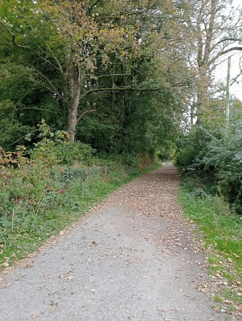 Jeff Trew_Black Pool Mill Restaurant_Narberth_review