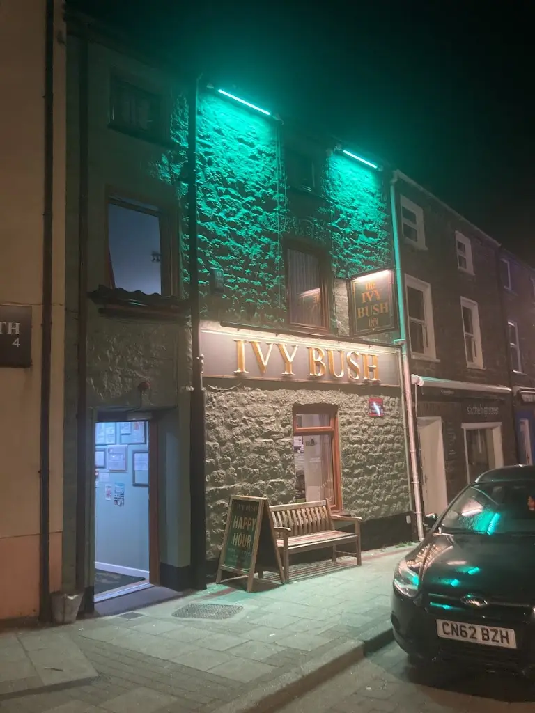 Ivy Bush Inn_Narberth_slider_image_3