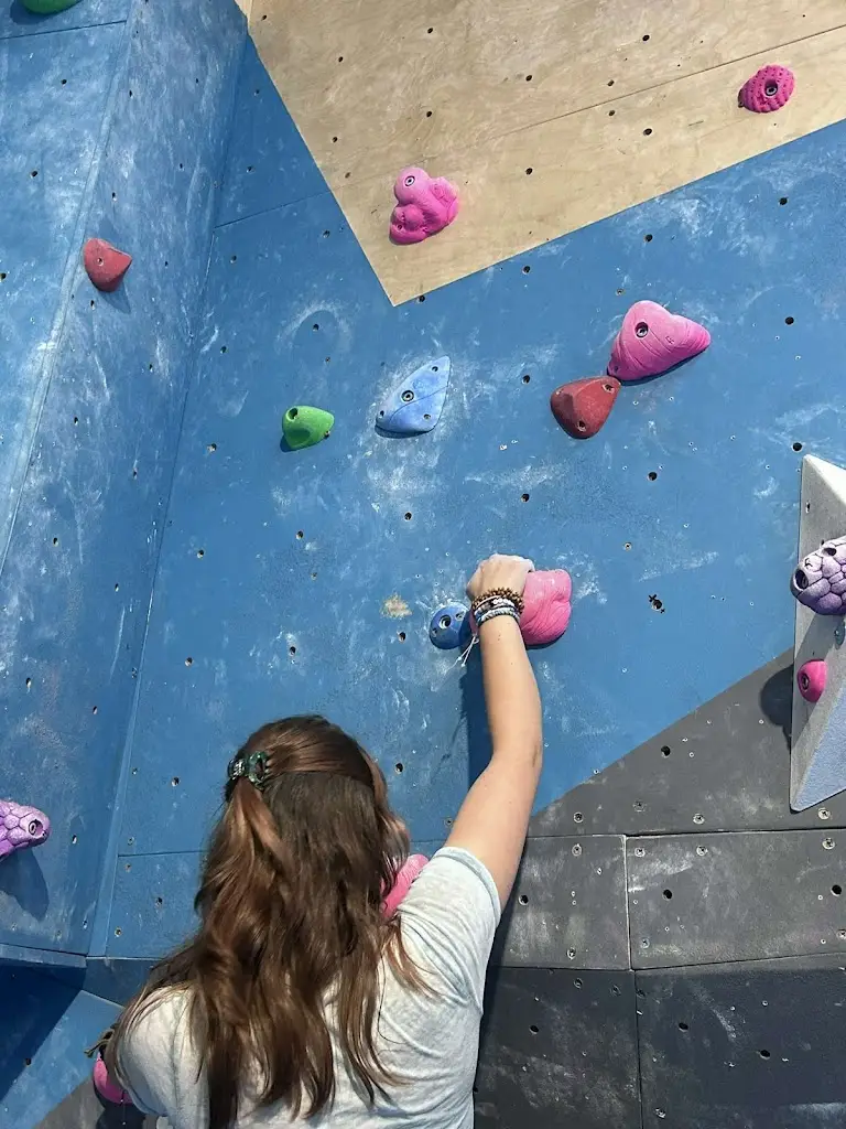 L Anderson_Wild Lakes Wales_Narberth_review