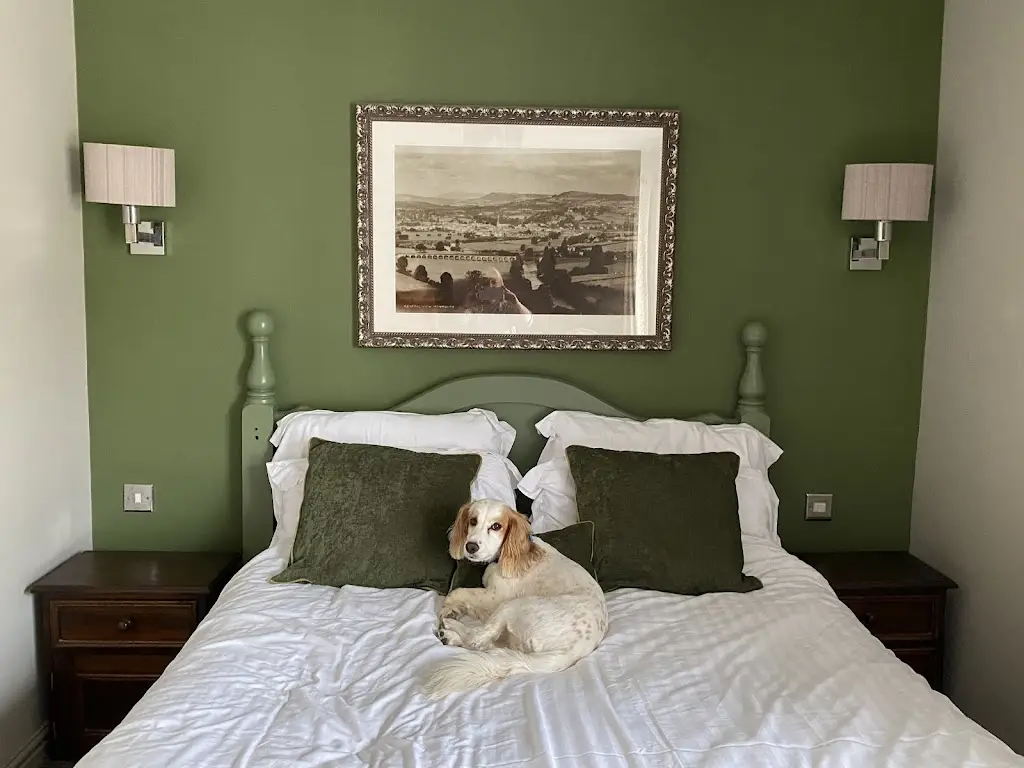 Sarah Vasey_Punch House_Monmouth_review