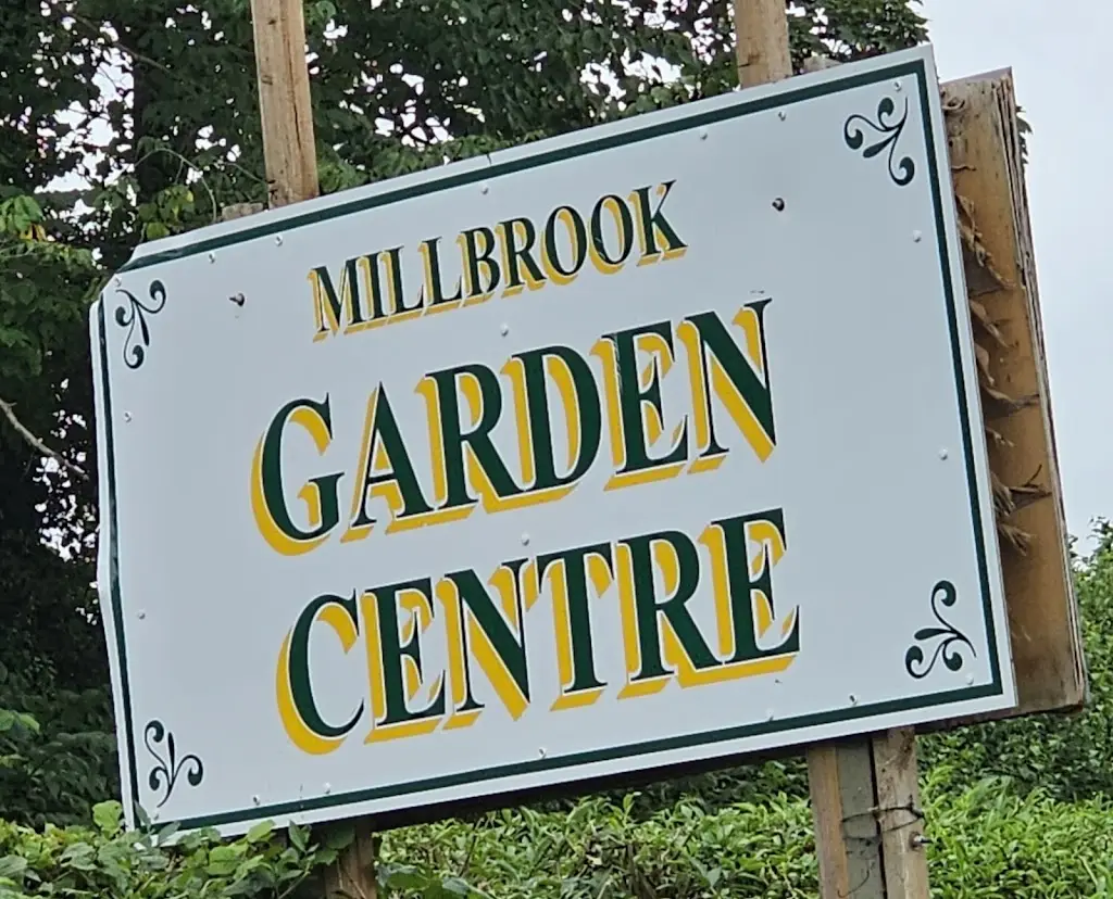 Shaun Phillips_The Red Door Deli & Diner_Monmouth_review