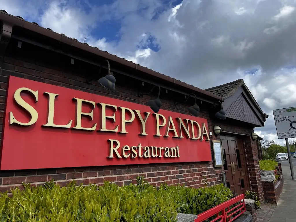 Indiana James_Sleepy Panda_Marchwiel_review