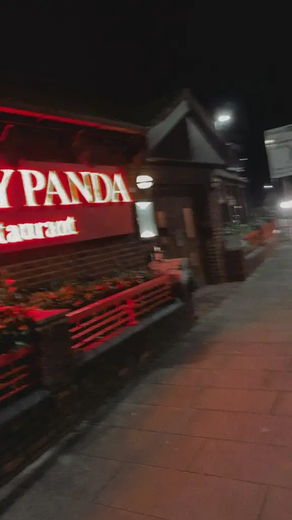 Eternal Silence_Sleepy Panda_Marchwiel_review