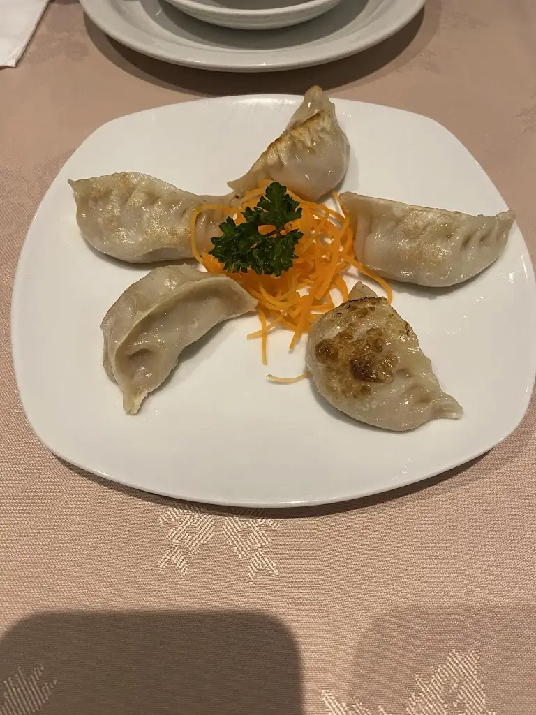 Piyush Patel_Sleepy Panda_Marchwiel_review