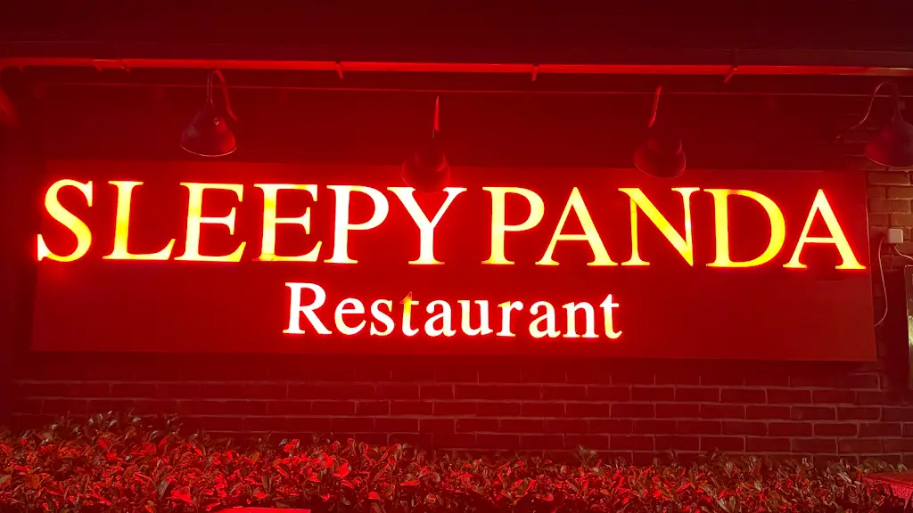 Sleepy Panda_Marchwiel_slider_image_3