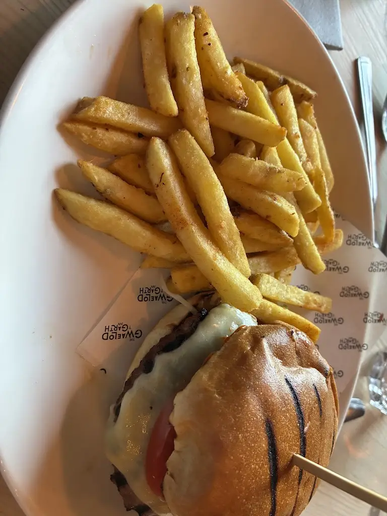 Claire Hamer_The Gwaelod-y-Garth Inn_Radyr_review