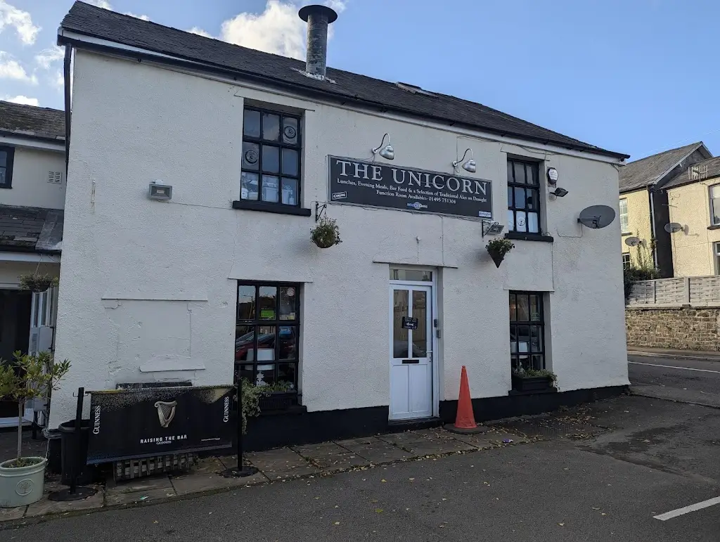 Heather Dix_The Unicorn_Pontypool_review