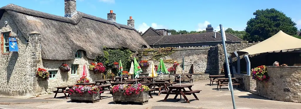 William Mahy_Blue Anchor Inn_Rhoose_review