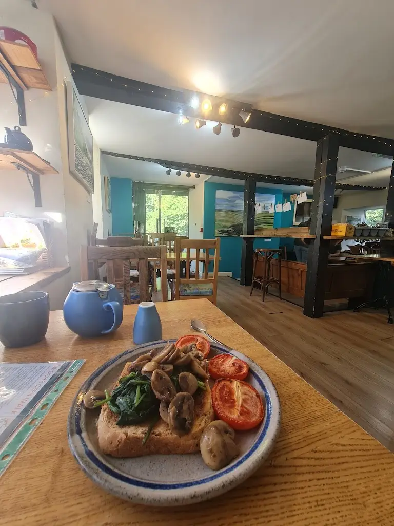 S G “Dr Steve” Mc_The Lost ARC_Rhayader_review