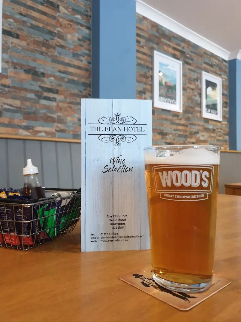 Gary Morris_Brasserie at the Elan_Rhayader_review