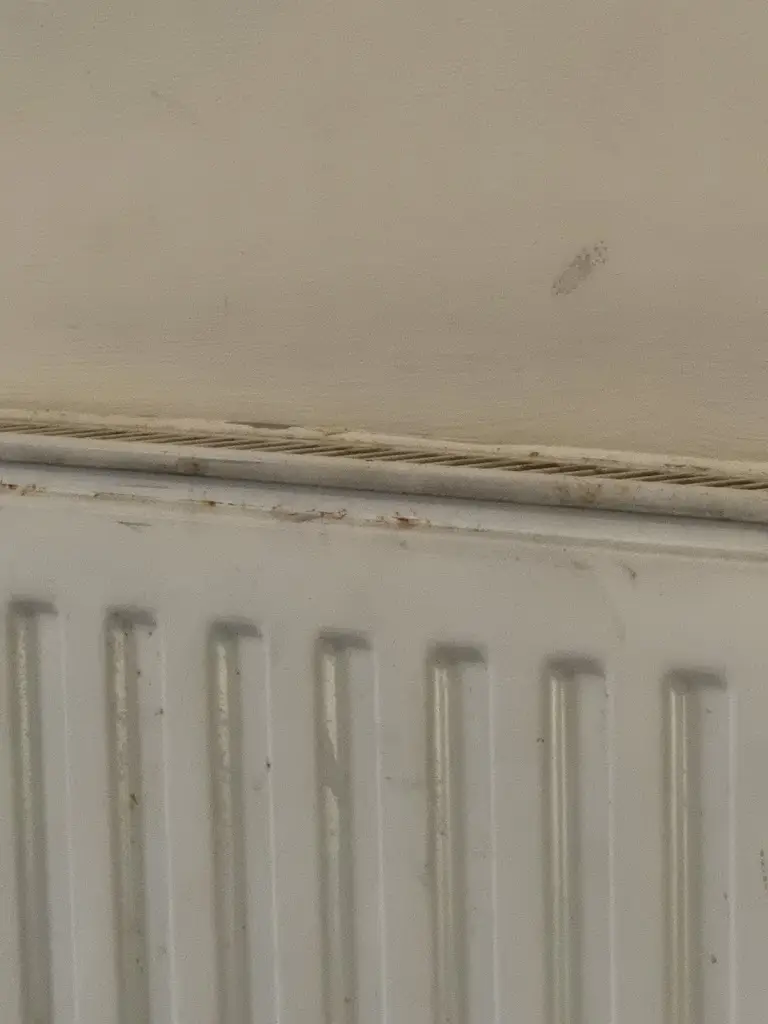 Lewis Hewitt_Ty Morgans_Rhayader_recensione