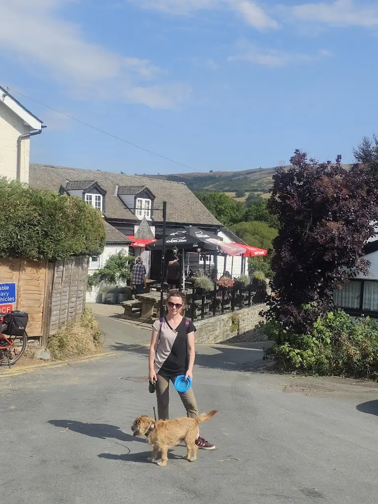 Konrad 1987_The Triangle Inn_Rhayader_review