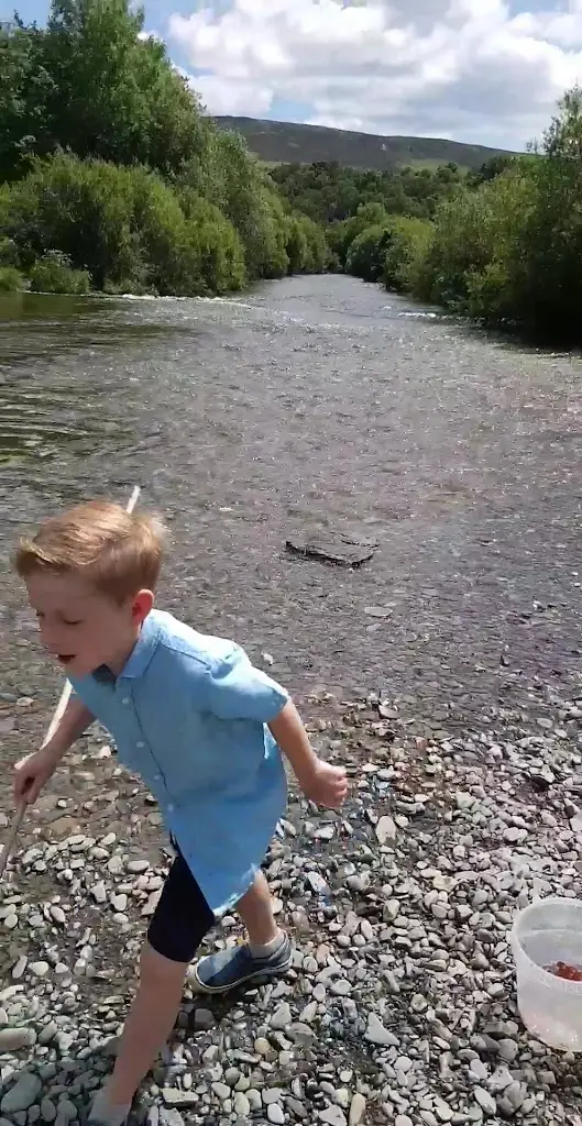 The Triangle Inn restaurant in Rhayader