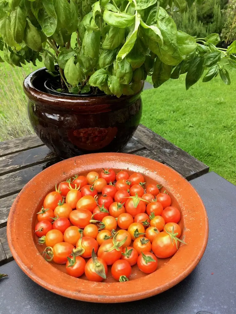 Menu_Wild Thyme Italian_Presteigne_image_7