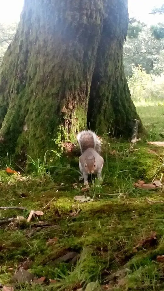 Rhondda Life_Rhondda_slider_image_3