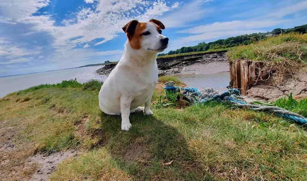 Barry Walsh_The Farmhouse Kitchen_Rhuddlan_review