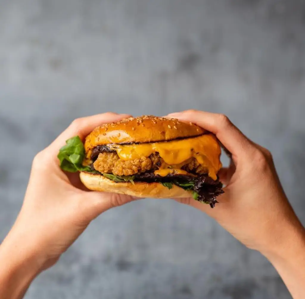 Menu_Brgr & Shakes | Rhuddlan_Rhuddlan_image_9