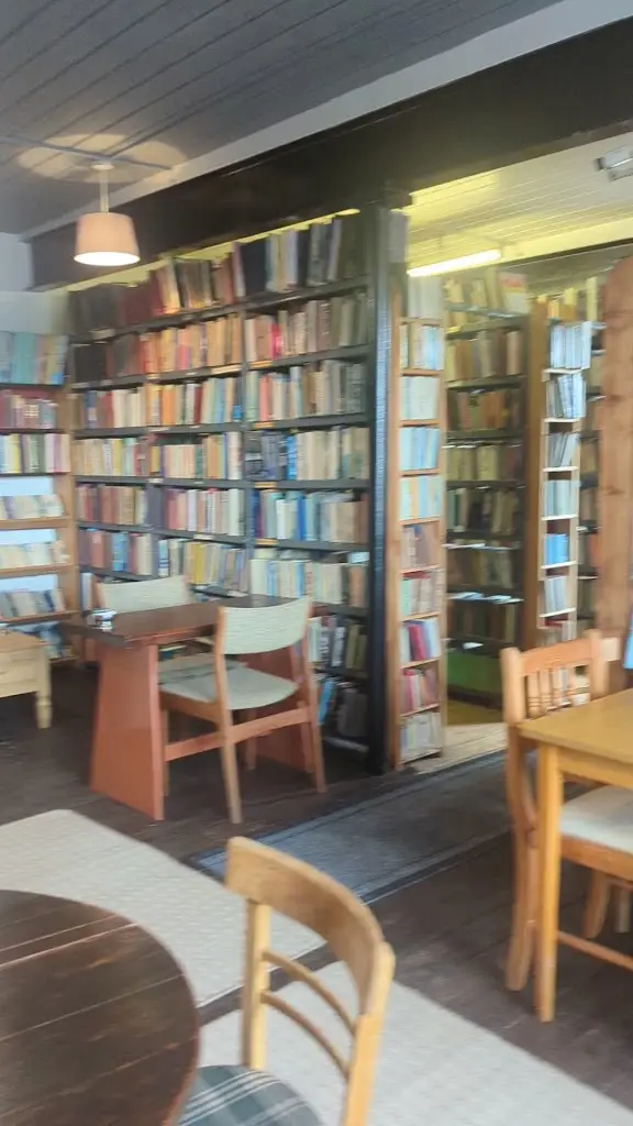 Fern Tolley_The Strand Bookshop and Café_Talgarth_review