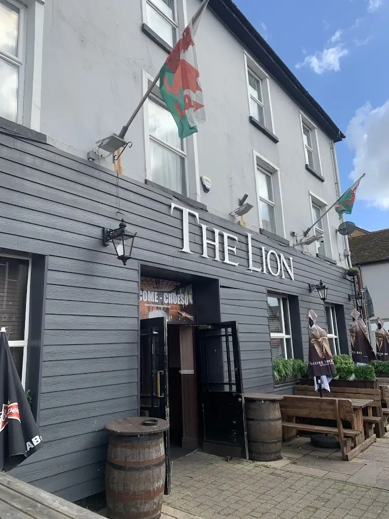 D Murphy_The Lion_Treorchy_review
