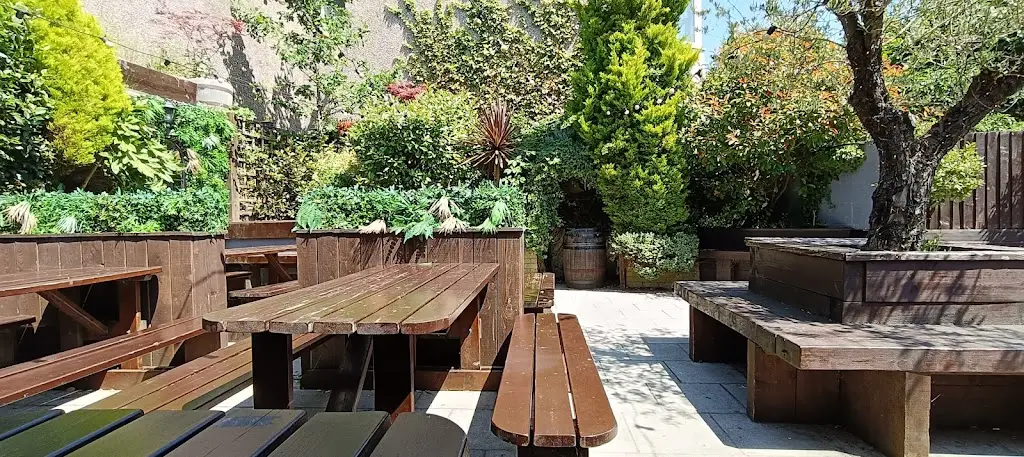 Robby Pedrica_The Lion_Treorchy_review