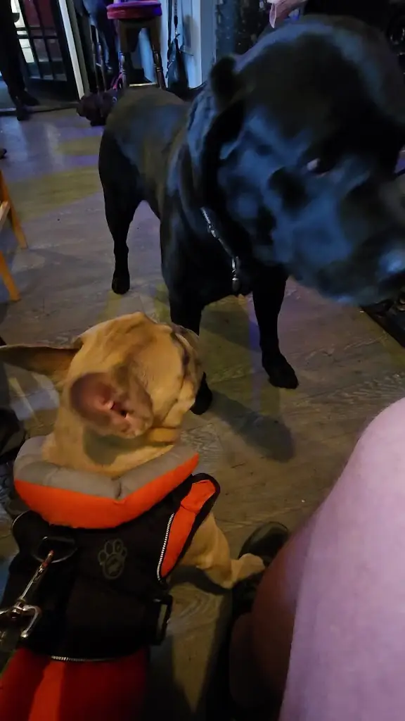 Richard Peters_Pant yr Ardd_Tregarth_review