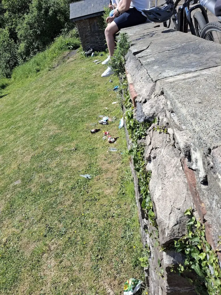 Michele Rich _Prince of Wales_Risca_review