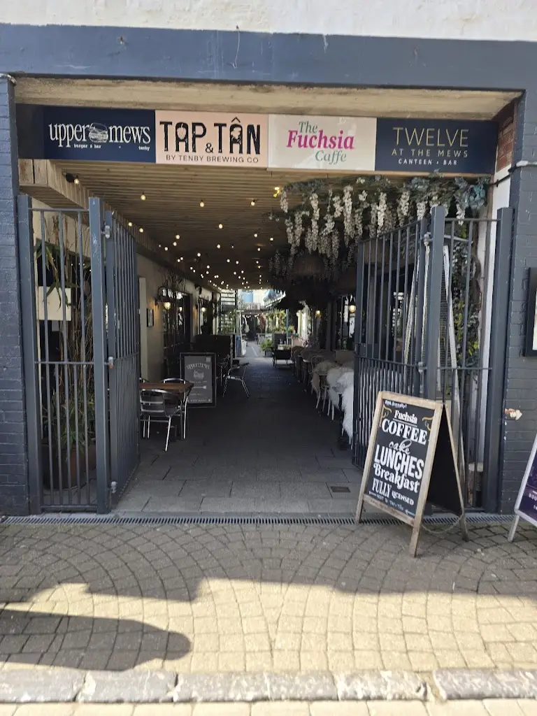 Tap & Tân_Tenby_slider_image_3