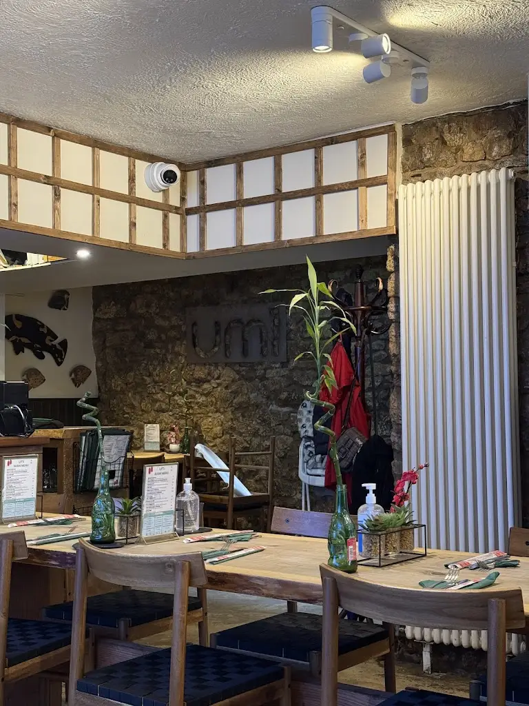 Umi_Tenby_slider_image_3