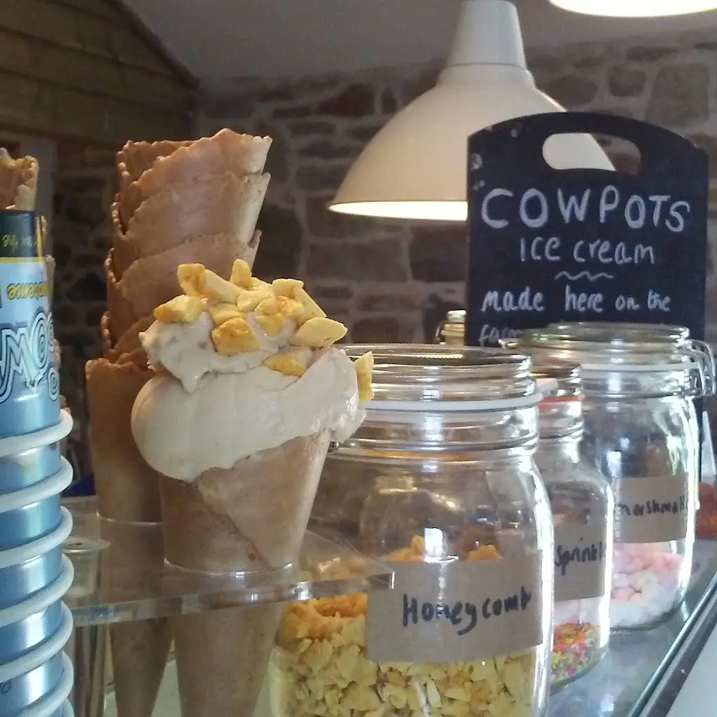 Menu_Cowpots Pizzeria_Whitland_immagine_8