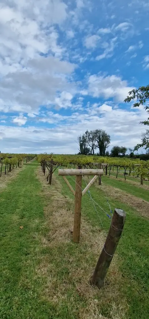 Jabajak Vineyard Restaurant with Rooms_Whitland_slider_image_2