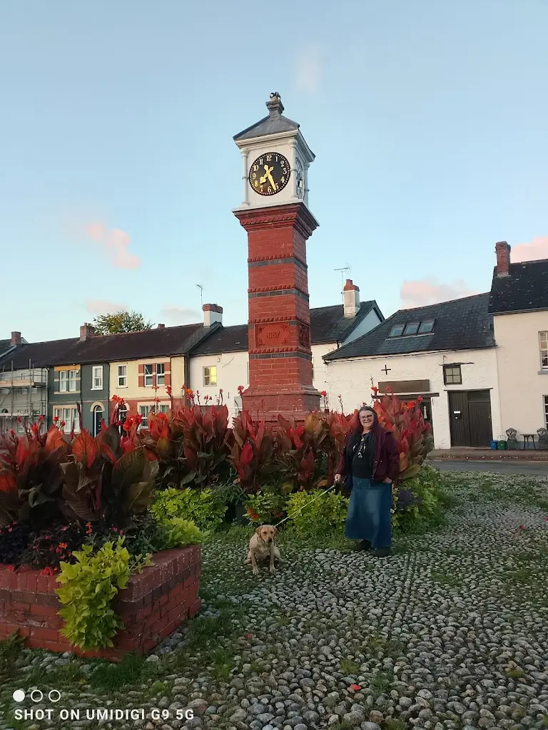 Taf Williams_The Castle Inn Usk_Usk_review