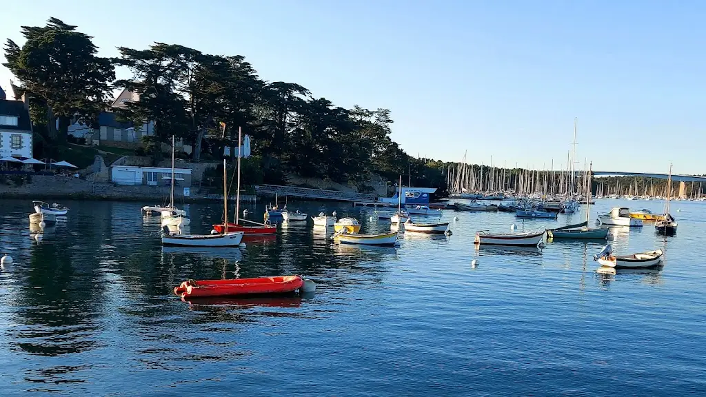 John Nelson_Ancient Briton_Porthcawl_review