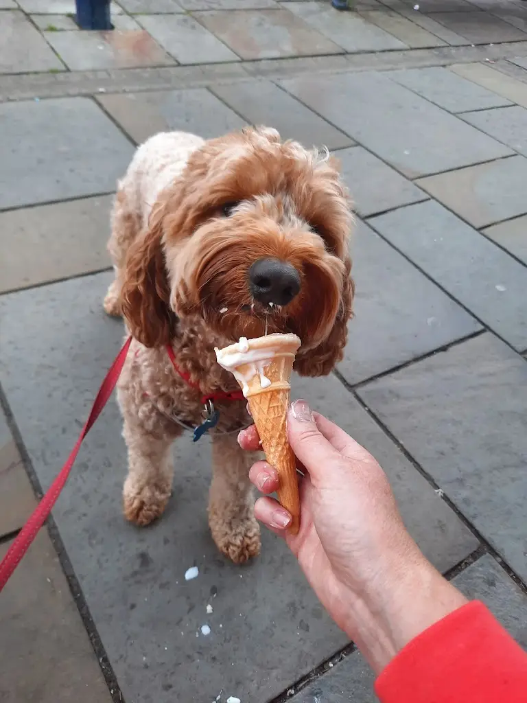 Cafe Fresco restaurant in Porthcawl