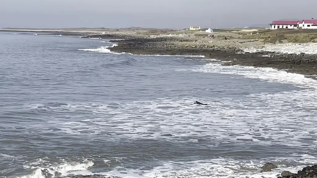 MikeFromNeath_Rest Bay Café Bar_Porthcawl_recensione