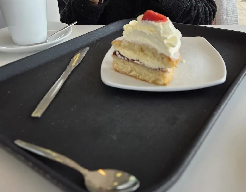 Gemini Equine Transport_Piccolo Bar_Porthcawl_recensione